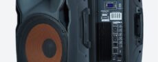 Buy 150W Active PA Speaker with two wireless microphone Online