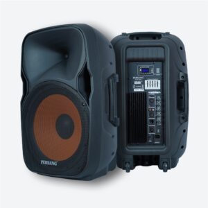 Buy 150W Active PA Speaker with two wireless microphone Online
