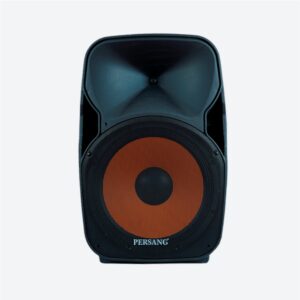 Buy Best Lucas 15AB Active PA Speaker Online in Gujarat, India