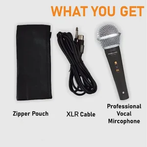 Buy Best Professional Micro Phone Online In Gujarat, India